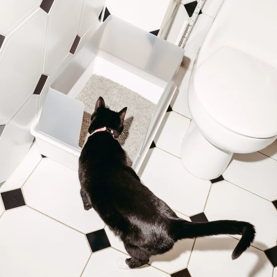 Cat litter box