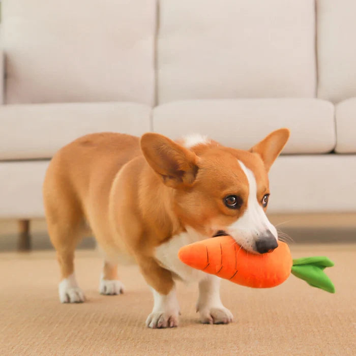 Carrot Squeaky Plush Toy Dog Interactive Toy