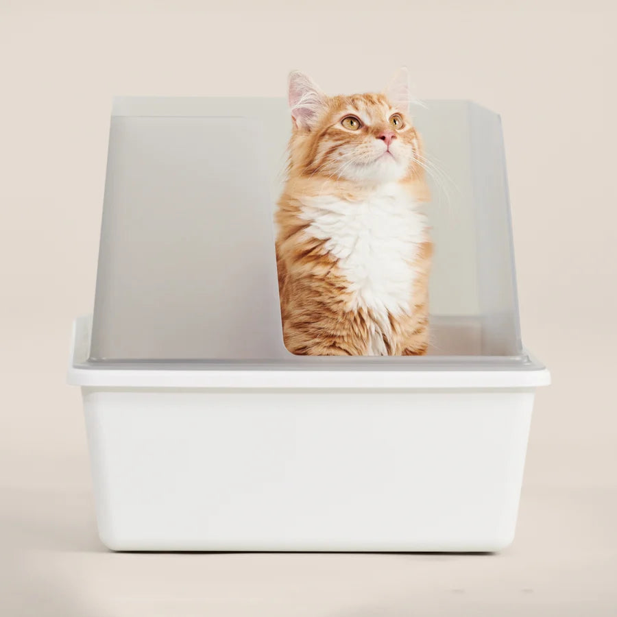 Cat litter box