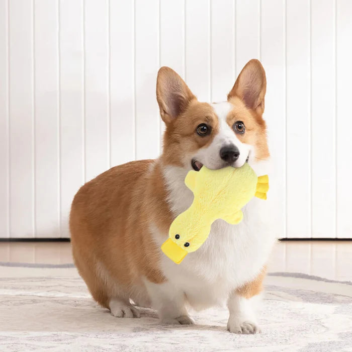 Soft Squeaky Duck Plush Dog Toy | Interactive Chew & Fetch Toy