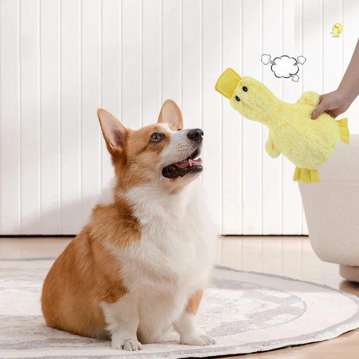 Soft Squeaky Duck Plush Dog Toy | Interactive Chew & Fetch Toy
