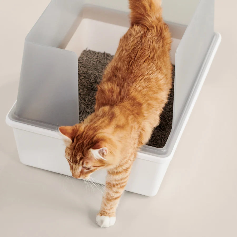 Cat litter box