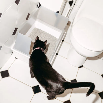 Cat litter box