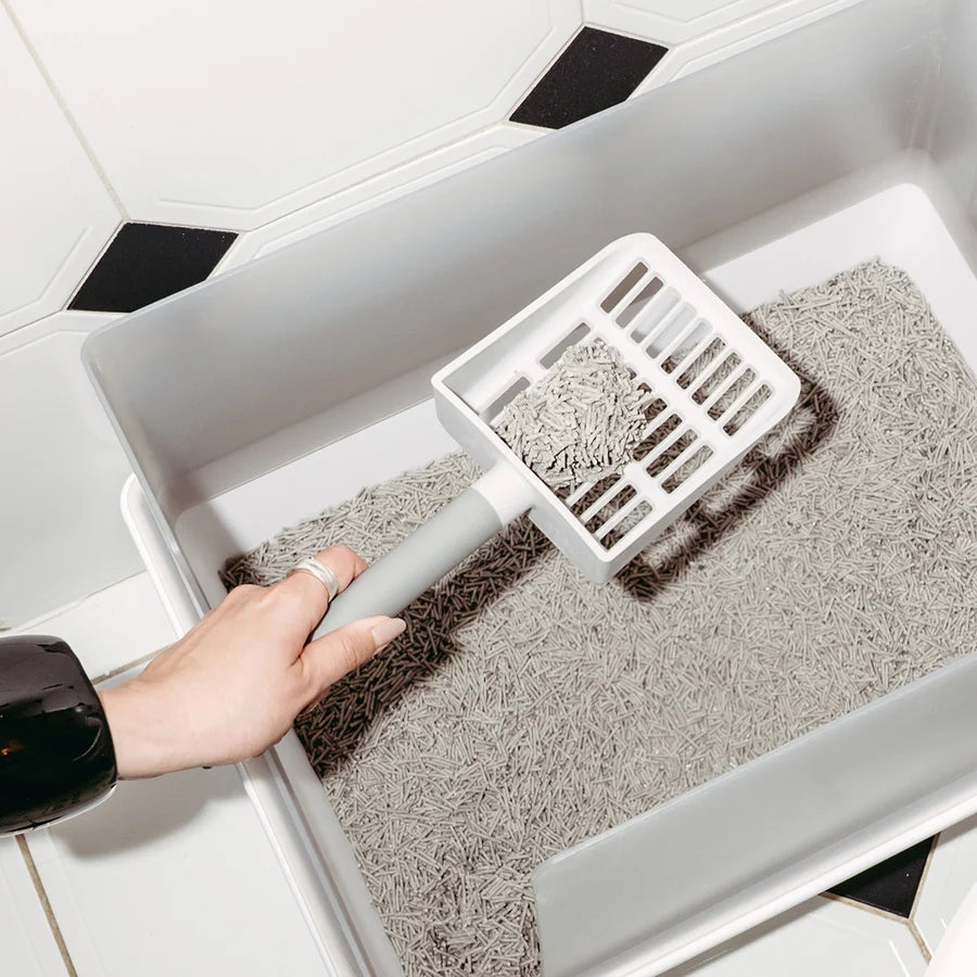 Litter Box Scoop