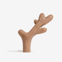 Antlers-Bacon